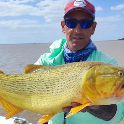 La crecida que vivieron el Paraná y el Uruguay trajeron vida y buena pesca. Gran momento para visitar el litoral. 