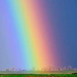 Un brillante arco iris ilumina cielos tormentosos en Robbins, a 35 millas (56 km) al norte de Sacramento, California. Foto de JOSH EDELSON / AFP | Foto:AFP