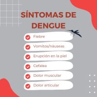 Dra. Rocío Delgué: ¿Cómo puede afectar el dengue a nuestros hijos?