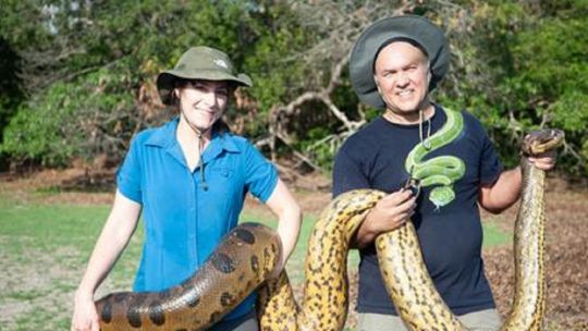 Sorprendente: encuentran la serpiente más grande y pesada del mundo durante el rodaje de una serie en el Amazonas