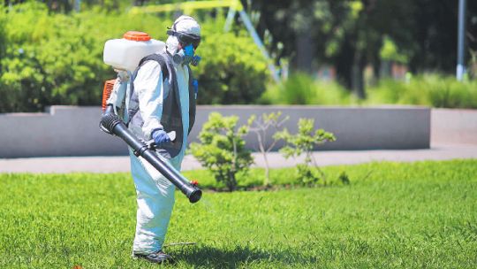 Alertan por los casos de dengue en los municipios bonaerenses