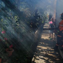 Una integrante de Protección Civil de la alcaldía de San Salvador fumiga jardines para combatir al mosquito Aedes aegypti que transmite el dengue, en la municipalidad de Mejicanos, en el departamento de San Salvador. | Foto:Xinhua/Alexander Peña