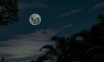 Luna en Libra: así afecta a todos los signos del zodiaco