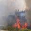 2602_icendios