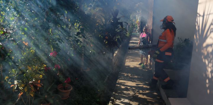 Una integrante de Protección Civil de la alcaldía de San Salvador fumiga jardines para combatir al mosquito Aedes aegypti que transmite el dengue, en la municipalidad de Mejicanos, en el departamento de San Salvador.