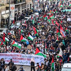 La gente marcha durante una protesta en apoyo de los palestinos y para exigir un alto el fuego inmediato en la franja de Gaza, en Milán. En total, al menos 29.606 personas han muerto en Gaza en medio del conflicto en curso entre Israel y el grupo militante palestino Hamás. | Foto:PIERO CRUCIATTI / AFP