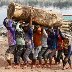 Trabajadores bangladesíes cargan un tronco de madera después de descargarlo de un barco de carga cerca del río Buriganga en Dhaka. | Foto:MUNIR UZ ZAMAN / AFP