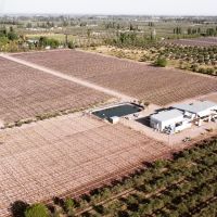 Bodega Mevi