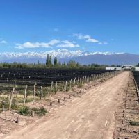 Bodega Mevi