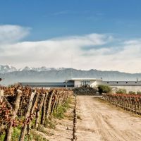 Bodega Mevi