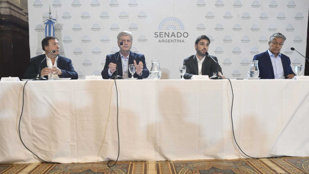 Los gobernadores patagónicos dan una conferencia de prensa en el Senado 20240227