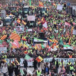 Los agricultores protestan para denunciar sus condiciones y la política agrícola europea, en la avenida Castellana de Madrid, España. | Foto:Thomas Coex / AFP