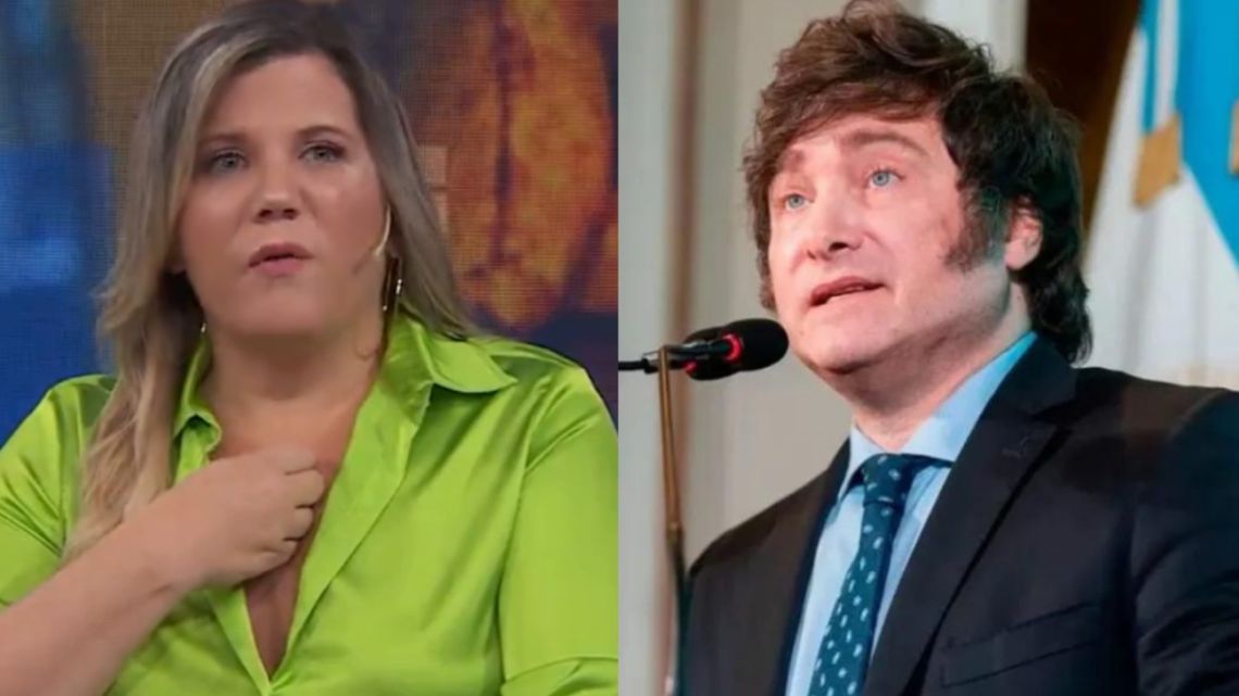 Entre Lágrimas Dominique Metzger Apuntó Contra Javier Milei Por Burlarse De Las Personas Con 7768