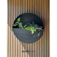 3 claves y 3 aliadas a la hora de elegir plantas de interiores