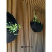 3 claves y 3 aliadas a la hora de elegir plantas de interiores