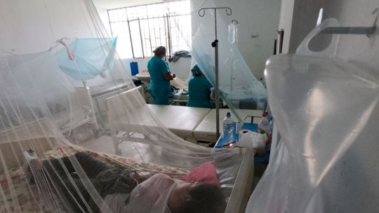 Dengue fatal en Córdoba: murieron dos mujeres a causa de la enfermedad
