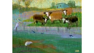 20240303_provincia_martatoledo_g
