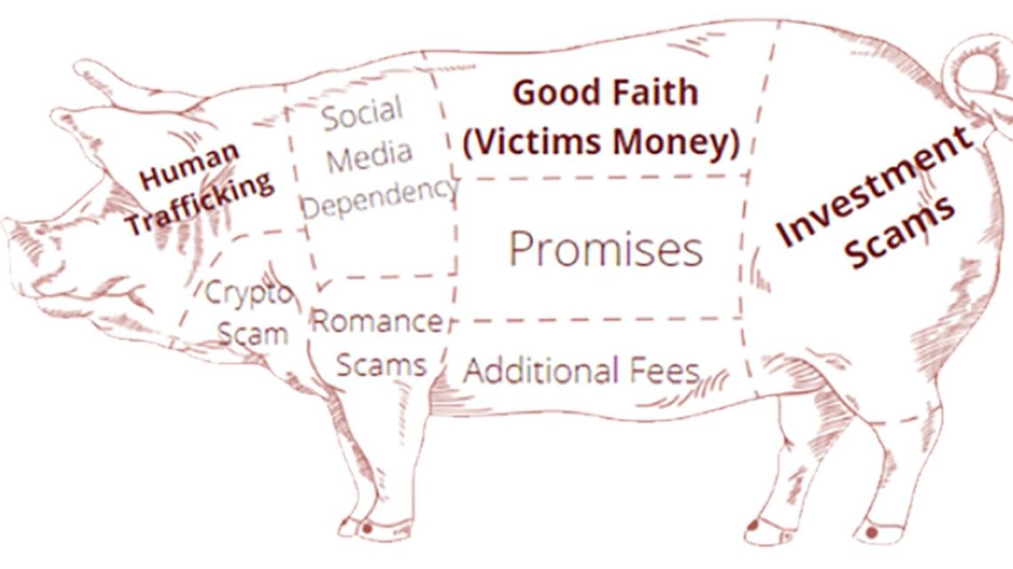 Crypto scams and the “slaughter of pigs”, the fraud that already exceeds USD 75,000 million