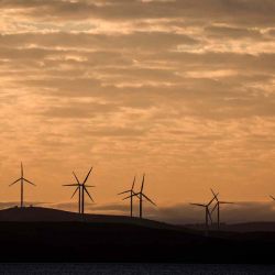 Turbinas eólicas al amanecer en las colinas que rodean el lago George, ubicado cerca de la capital australiana de Canberra. Foto de DAVID GREY / AFP | Foto:AFP