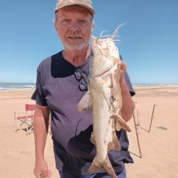 El pejerrey fue la especie que más atrapó a los pescadores en este fin de semana. 
