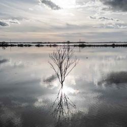 Un campo inundado debido a la gran marea del equinoccio en Lavau-sur-Loire. Foto de LOIC VENANCE / AFP | Foto:AFP
