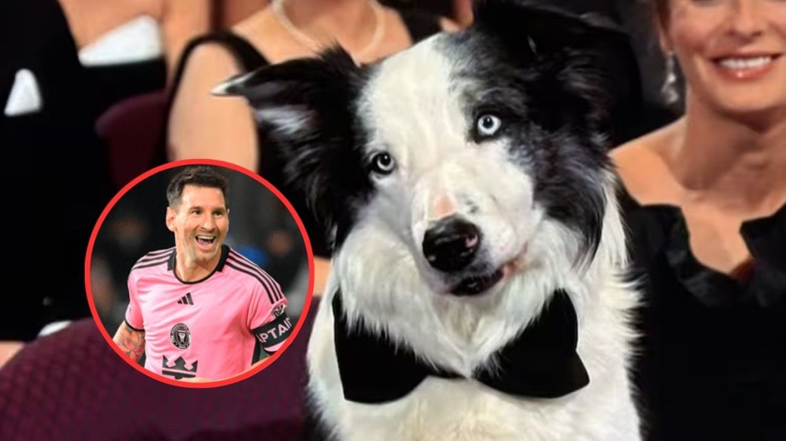Quién es "Messi", el perro que se robó todas las miradas en los Oscar