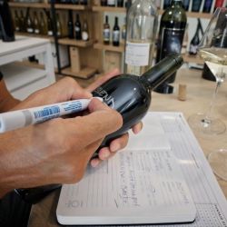 Crear tu propia marca de vinos generando un negocio sostenible es posible | Foto:CEDOC