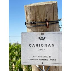 Crear tu propia marca de vinos generando un negocio sostenible es posible | Foto:CEDOC