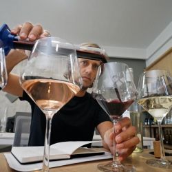 Crear tu propia marca de vinos generando un negocio sostenible es posible | Foto:CEDOC