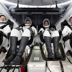 El cosmonauta de Roscosmos Konstantin Borisov, el astronauta de la ESA Andreas Mogensen, el astronauta de la NASA Jasmin Moghbeli y el astronauta de JAXA Satoshi Furukawa sentados dentro de la nave espacial SpaceX Dragon. Foto de Joel KOWSKY / NASA / AFP  | Foto:AFP