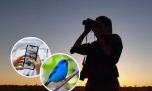 Crean una aplicación digital que permite identificar a todas las especies de aves de la Argentina