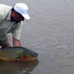 El cuidado de los ejemplares pequeños en un escenario tan favorable puede constituir una inmejorable oportunidad de expansión de los tamaños de peces a futuro.