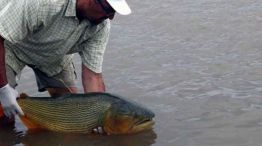 En el río Uruguay piden respetar la talla mínima de pesca