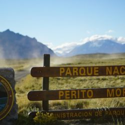 Fue visto en la zona norte del Parque Nacional Perito Moreno, en Santa Cruz.