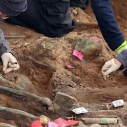 Hasta el momento, encontraron más de 1.000 esqueletos humanos.