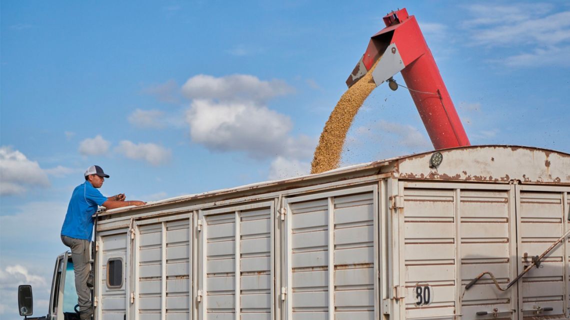 A combine harvester unloads soybeans into a trailer at a farm in San José de la Esquina, Argentina.