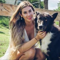 Sanaciones Miguelianas: Un Viaje Espiritual de Sanación y Transformación