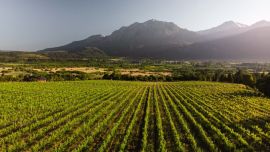 El Hoyo tendrá su primera fiesta de la vendimia provincial en Semana Santa.