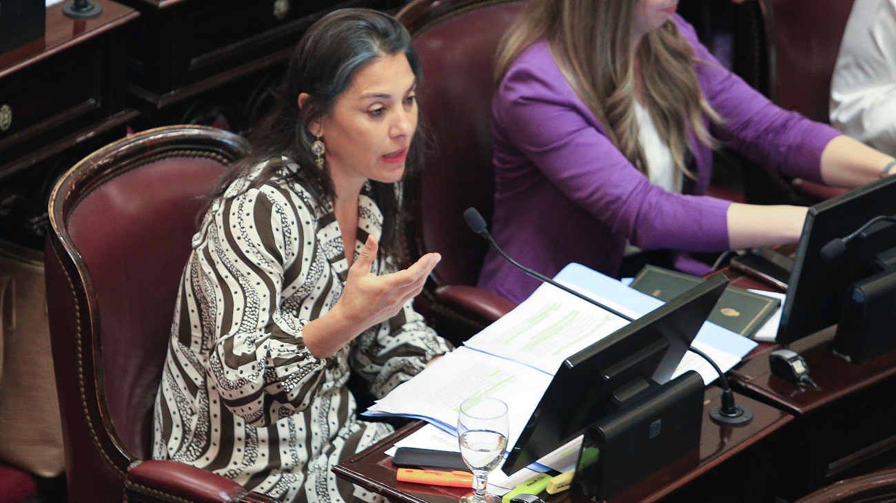 Senadores rechazo al DNU.