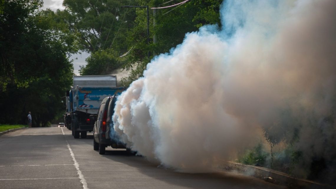 Dengue in Córdoba: waiting for the Easter peak, there are already more than 9,300 registered cases and seven deaths