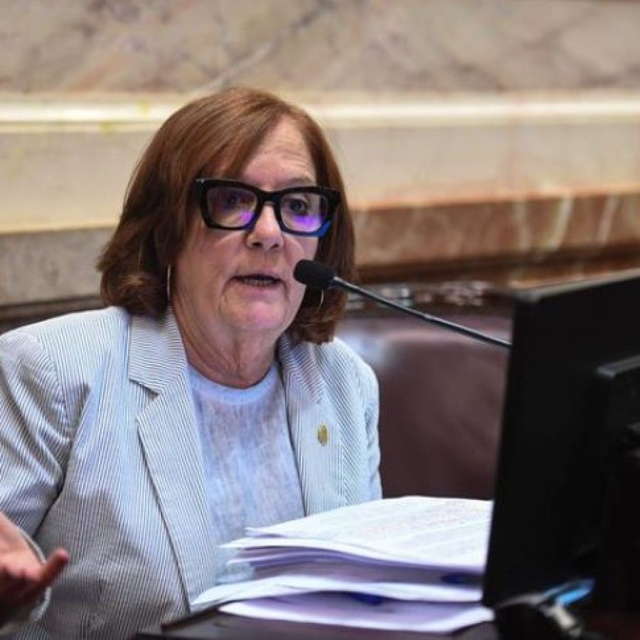 15-03-2024-alejandra-vigo-senadora-cordoba-1770899