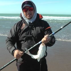 El concurso que apuntaba a la variada de mayor peso tuvo como ganador al experimentado pescador Leonardo Villagrán, de Punta Alta.