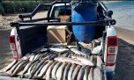 Pesca ilegal en el sur: secuestraron 132 salmónidos y labraron 30 actas de infracción