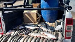 Pesca ilegal en el sur: secuestraron 132 salmónidos y labraron 30 actas de infracción