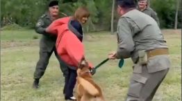 Patricia Bullrich en una demostración con perros entrenados