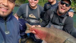 47 salmones en 4 días en un río de Santa Cruz