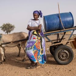 Una mujer se encuentra frente a su carro tirado por un burro con un bidón de agua encima en Mbacke Diolof, Senegal. | Foto:JOHN WESSELS / AFP