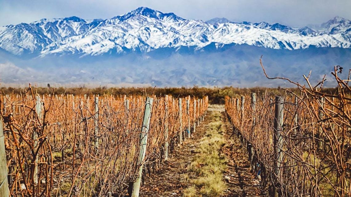 Turismo: qué actividades ofrece Mendoza para el fin de semana XXL | Canal E