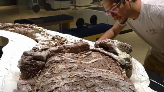 Increíble: encuentran restos fósiles de un gigantesco antecesor del cocodrilo en Texas