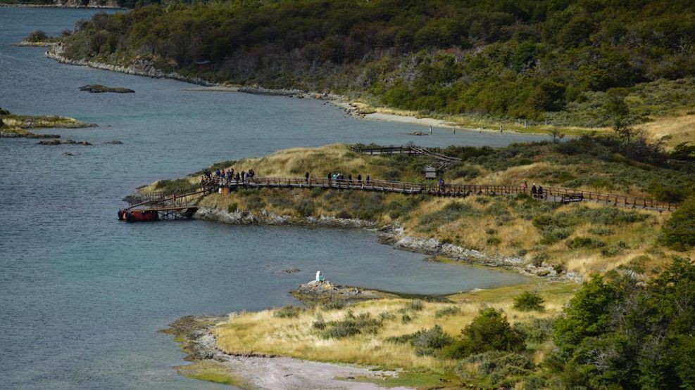 Un fuerte terremoto de 7,4 grados se registró al sur de Ushuaia y hay  alerta de tsunami en Chile | Perfil